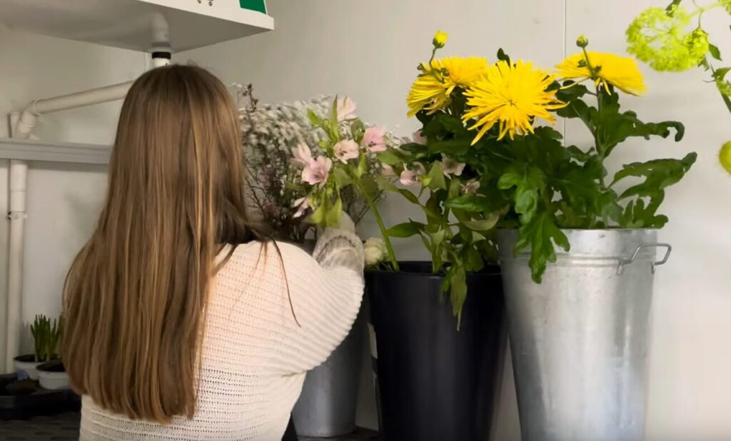 Découvrir le lycée et la formation fleuriste